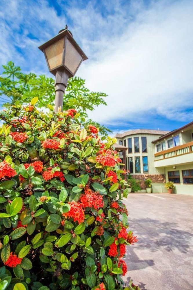 House Of Fountains Bed and Breakfast Lahaina Exterior foto